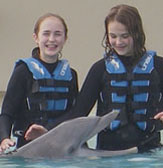 CousinDolphin